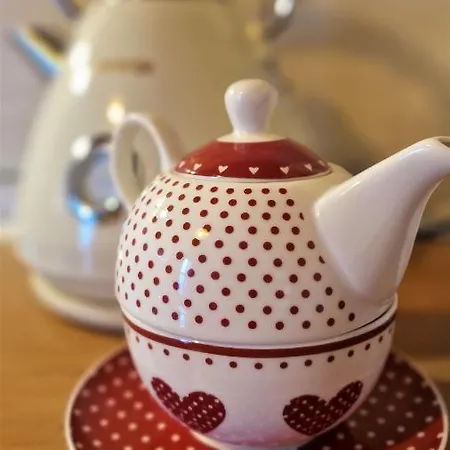 Holy Vrch - Oaza Kludu A Pokoja Dağ evi *