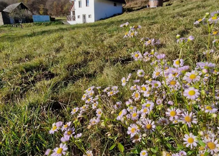 Holy Vrch - Oaza Kludu A Pokoja Krupina